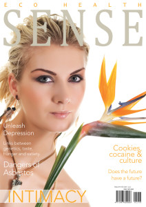 E H Sense issue 4-1
