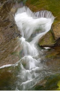 1505106_10202982354268229_256275824_n