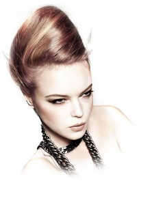 hair care1-e1354119597459