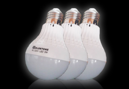 17_solar_LED_globes